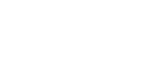 Asset Twins
